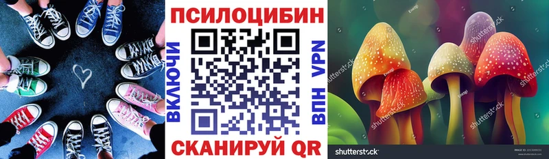 мега ССЫЛКА  Кашин  Галлюциногенные грибы Cubensis 