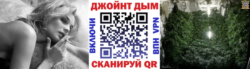 где продают наркотики Кашин Конопля SATIVA & INDICA